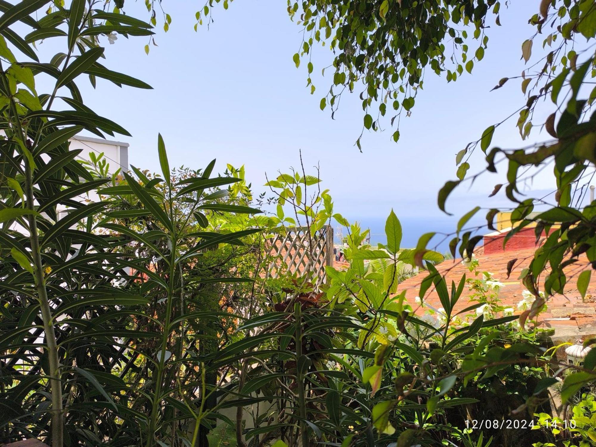 Casa Flora Garden Studio Sauzal Bagian luar foto